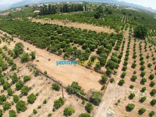 Οικόπεδο 3.947 τ.μ. για πώληση, Αργολίδα, Άργος-thumb-3