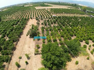 Οικόπεδο 3.947 τ.μ. για πώληση, Αργολίδα, Άργος-thumb-2
