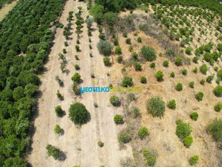 Οικόπεδο 3.947 τ.μ. για πώληση, Αργολίδα, Άργος-thumb-1