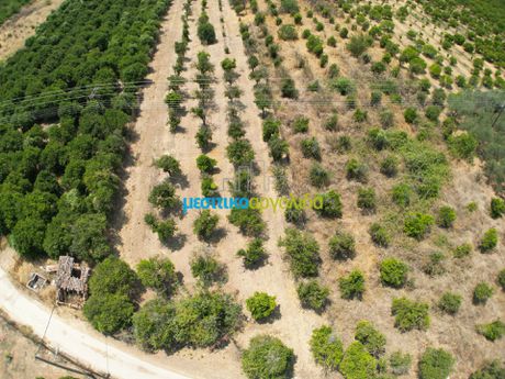 Land plot 3.947sqm for sale-Argos