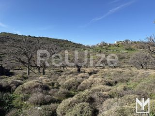 Οικόπεδο 4.000 τ.μ. για πώληση