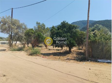 Land plot 400sqm for sale-Igoumenitsa » Ladochori