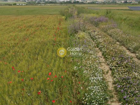Parcel 3.000sqm for sale-Thermi » Nea Raidestos
