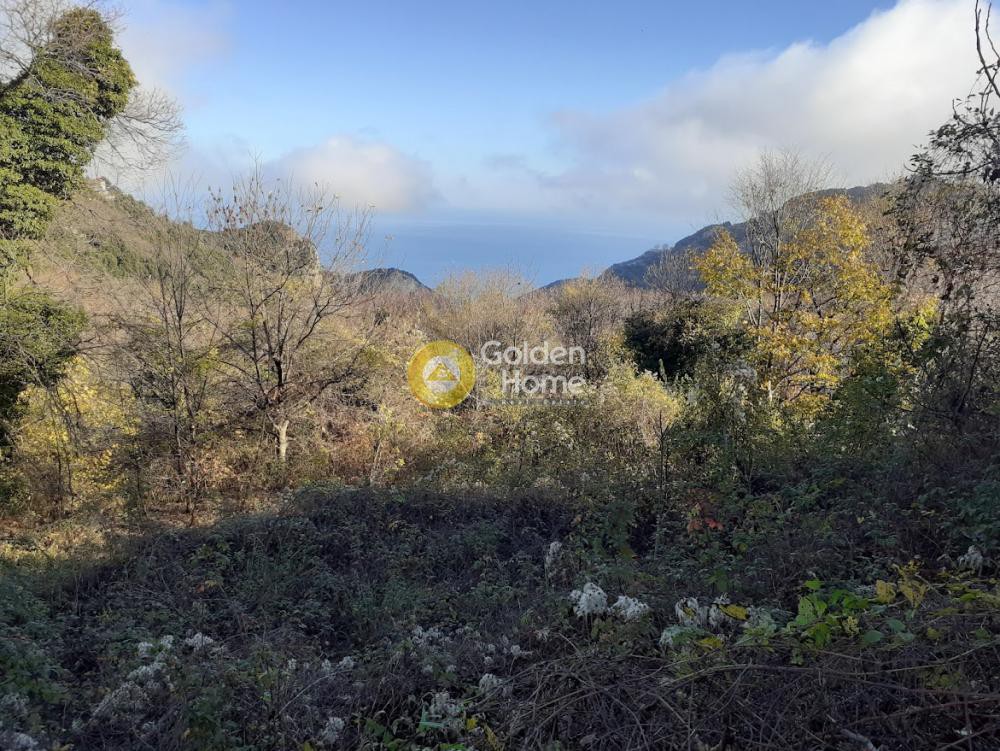 Συγκρότημα διαμερισμάτων 123 τ.μ. πρός πώληση, Μαγνησία, Μούρεσι