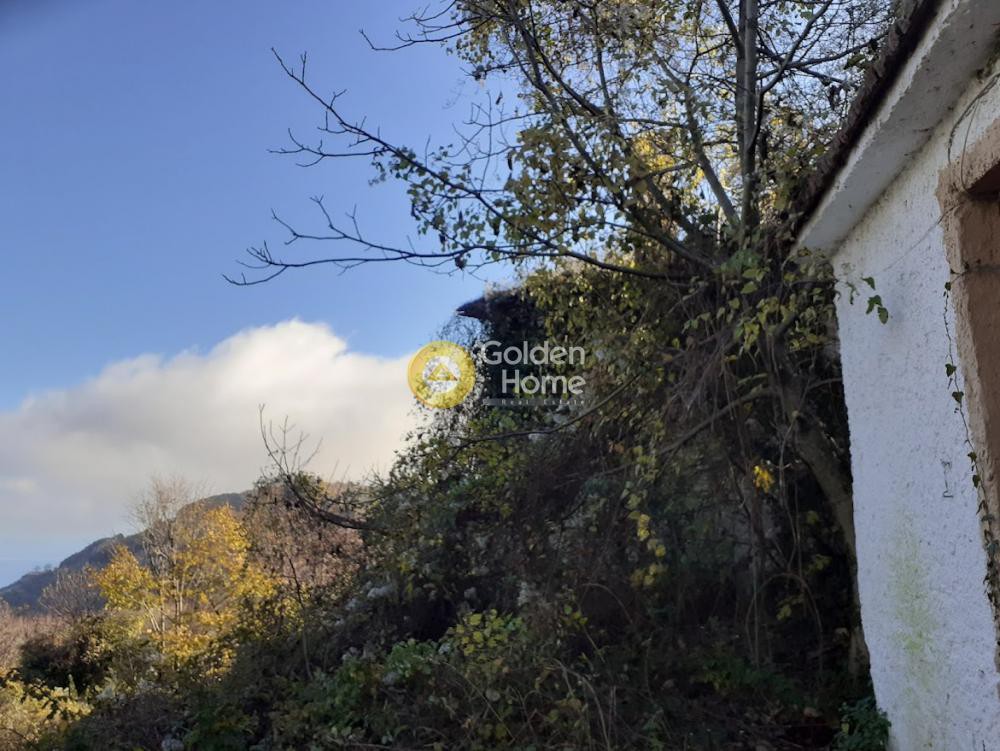 Συγκρότημα διαμερισμάτων 123 τ.μ. πρός πώληση, Μαγνησία, Μούρεσι