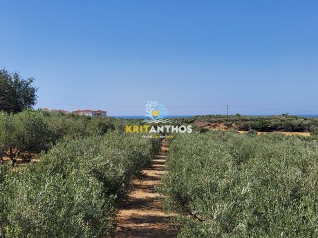 Οικόπεδο 2.500τ.μ. για πώληση-Αρκάδι » Πρίνος