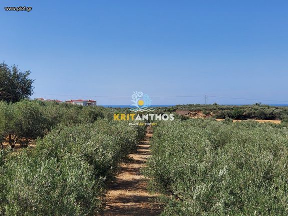 Οικόπεδο 2.500 τ.μ. για πώληση, Ν. Ρεθύμνου, Αρκάδι