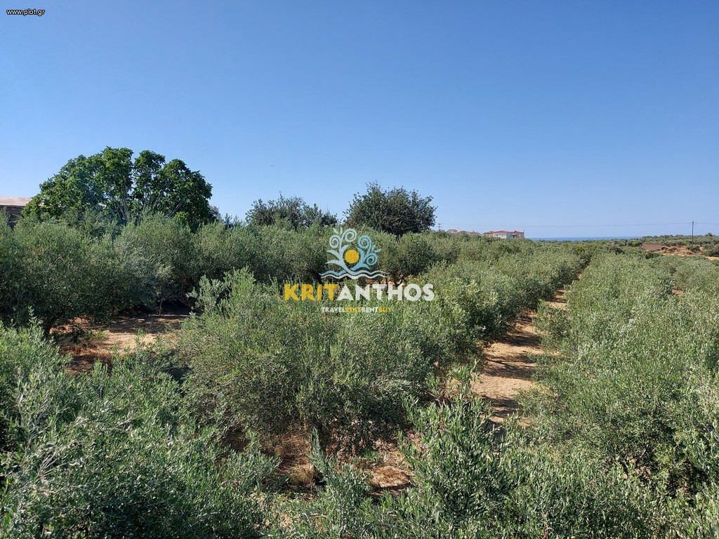Οικόπεδο 2.500 τ.μ. πρός πώληση, Ν. Ρεθύμνου, Αρκάδι
