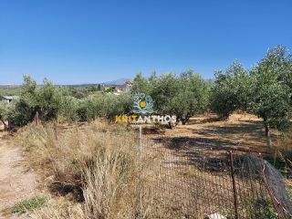 Οικόπεδο 2.500 τ.μ. για πώληση, Ν. Ρεθύμνου, Αρκάδι-thumb-5