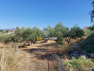 Οικόπεδο 2.500 τ.μ. για πώληση, Ν. Ρεθύμνου, Αρκάδι-thumb-6