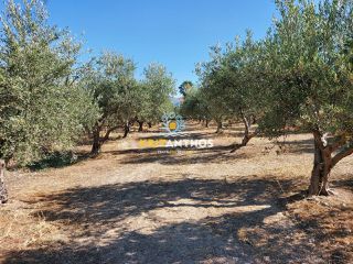 Οικόπεδο 2.500 τ.μ. για πώληση, Ν. Ρεθύμνου, Αρκάδι-thumb-7