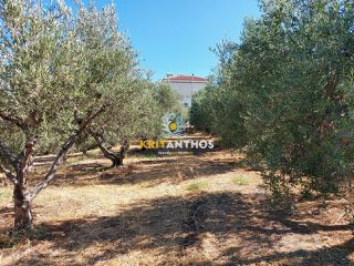 Οικόπεδο 2.500 τ.μ. για πώληση, Ν. Ρεθύμνου, Αρκάδι-thumb-8