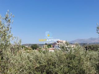 Οικόπεδο 2.500 τ.μ. για πώληση, Ν. Ρεθύμνου, Αρκάδι-thumb-10