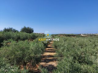 Οικόπεδο 2.500 τ.μ. για πώληση, Ν. Ρεθύμνου, Αρκάδι-thumb-11