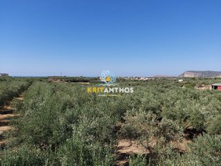 Οικόπεδο 2.500 τ.μ. για πώληση, Ν. Ρεθύμνου, Αρκάδι-thumb-12