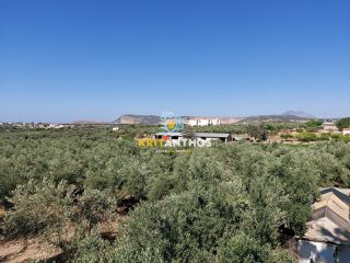 Οικόπεδο 2.500 τ.μ. για πώληση, Ν. Ρεθύμνου, Αρκάδι-thumb-13