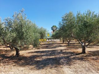 Οικόπεδο 2.500 τ.μ. για πώληση, Ν. Ρεθύμνου, Αρκάδι-thumb-16