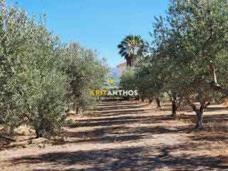 Οικόπεδο 2.500 τ.μ. για πώληση, Ν. Ρεθύμνου, Αρκάδι-thumb-17