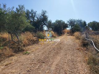 Οικόπεδο 2.500 τ.μ. για πώληση, Ν. Ρεθύμνου, Αρκάδι-thumb-18