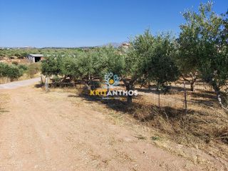 Οικόπεδο 2.500 τ.μ. για πώληση, Ν. Ρεθύμνου, Αρκάδι-thumb-19