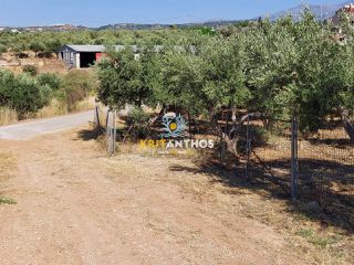 Οικόπεδο 2.500 τ.μ. για πώληση, Ν. Ρεθύμνου, Αρκάδι-thumb-20
