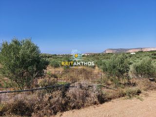 Οικόπεδο 2.500 τ.μ. για πώληση, Ν. Ρεθύμνου, Αρκάδι-thumb-21