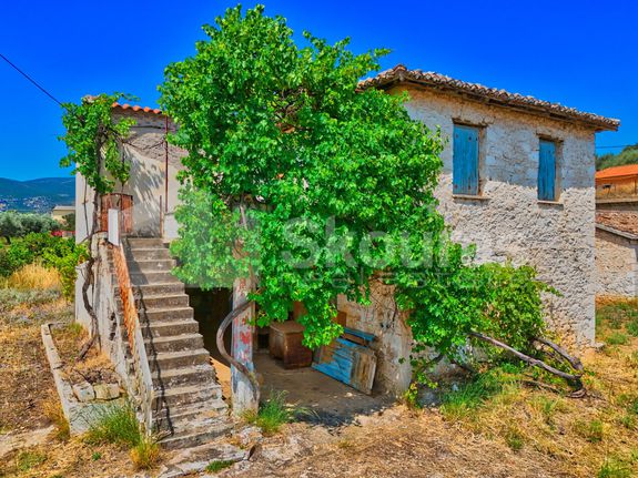 Μονοκατοικία 95 τ.μ. για πώληση, Αργολίδα, Λέρνα