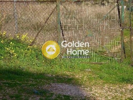 Land plot 325sqm for sale-Abelakia » Selinia