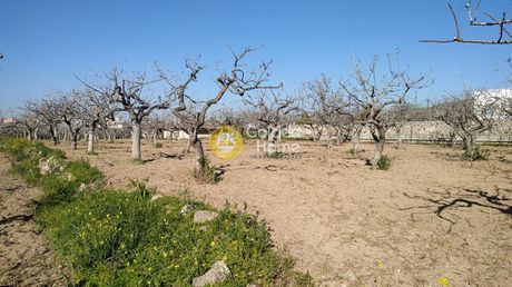 Land plot 3.532sqm for sale-Aegina » Livadi