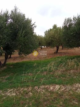 Land plot 6.441sqm for sale-Heraclion Cretes » Gournes