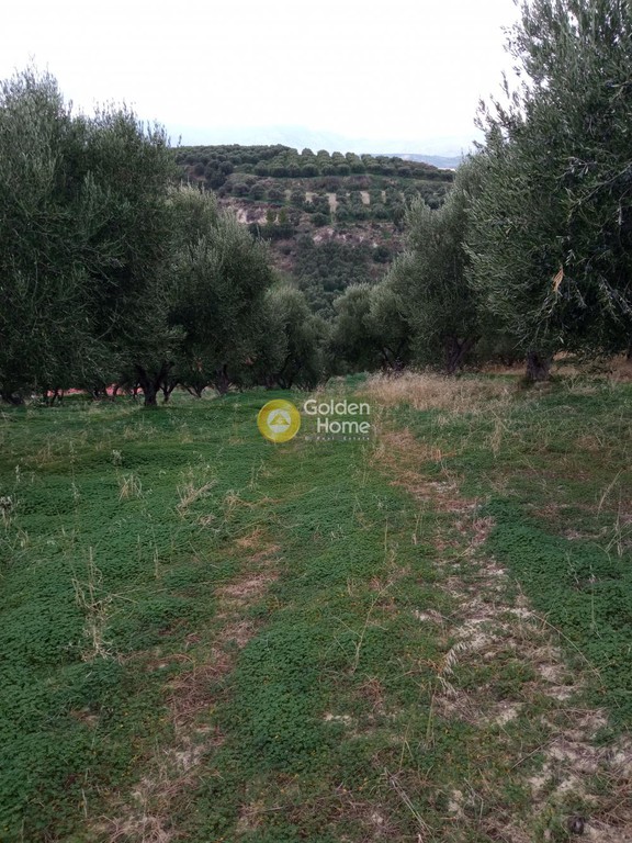 Οικόπεδο 6.441 τ.μ. προς πώληση, Γούρνες Ηρακλείου