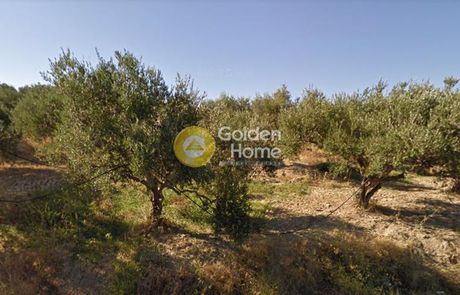Land plot 4.600sqm for sale-Kissamos » Kounoupitsa