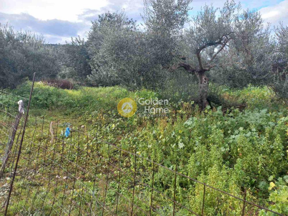 Οικόπεδο 1.722 τ.μ. προς πώληση, Γαβαλοχώρι