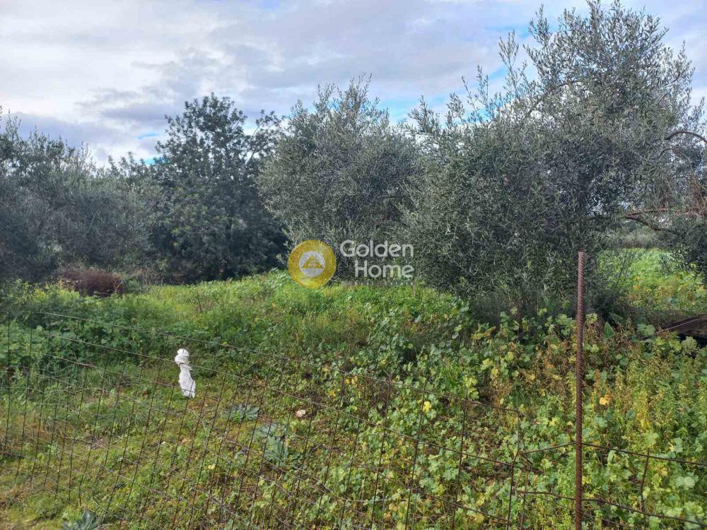 Οικόπεδο 1.722 τ.μ. προς πώληση, Γαβαλοχώρι