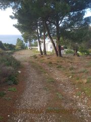 Οικόπεδο 20.000 τ.μ. πρός πώληση, Ν. Σάμου, Σάμος-thumb-18