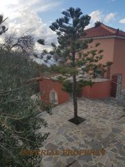 Οικόπεδο 20.000 τ.μ. πρός πώληση, Ν. Σάμου, Σάμος-thumb-20