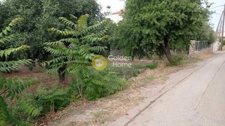 Οικόπεδο 741 τ.μ. για πώληση