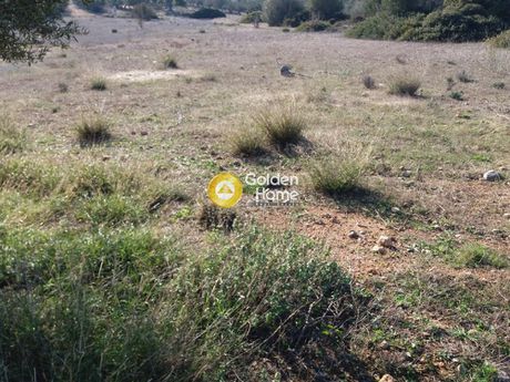 Land plot 7.000 sqm for sale