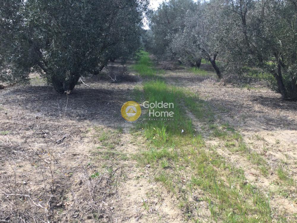 Οικόπεδο 294 τ.μ. προς πώληση, Νέα Ηράκλεια