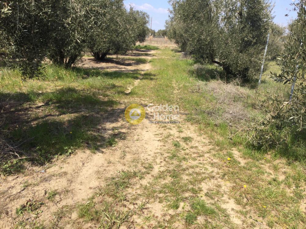 Οικόπεδο 294 τ.μ. προς πώληση, Νέα Ηράκλεια