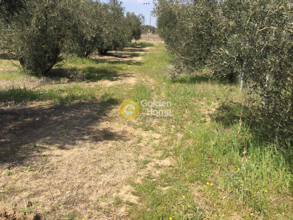 Οικόπεδο 294 τ.μ. προς πώληση, Νέα Ηράκλεια