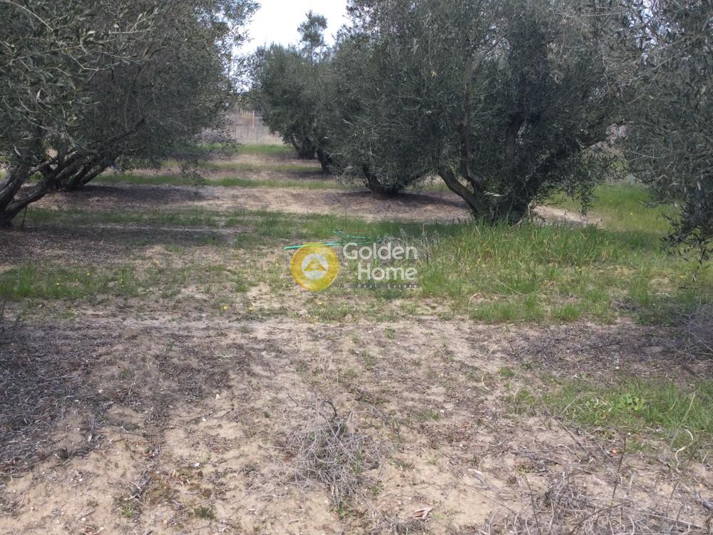 Οικόπεδο 294 τ.μ. προς πώληση, Νέα Ηράκλεια