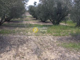 Οικόπεδο 294 τ.μ. προς πώληση