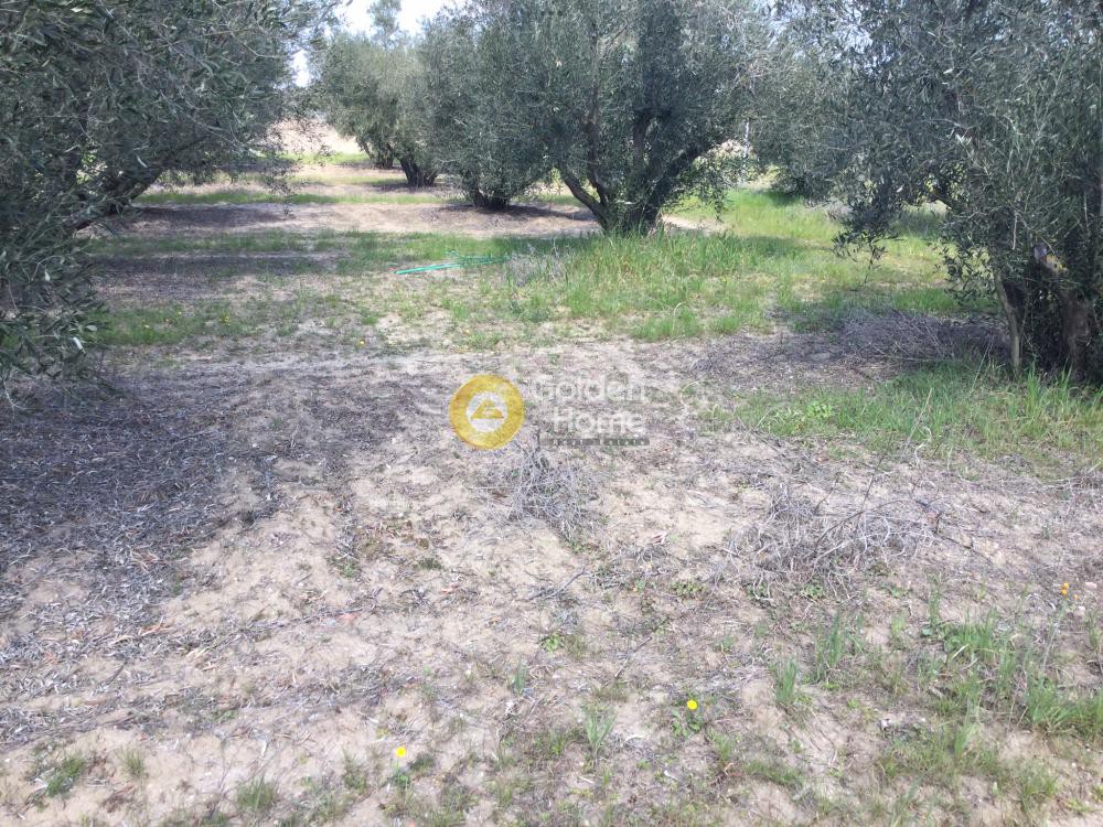 Οικόπεδο 294 τ.μ. προς πώληση, Νέα Ηράκλεια