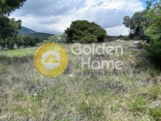 Parcel 4.800sqm for sale-Koropi » Skarpiza