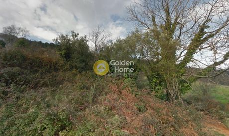 Parcel 2.500sqm for sale-Zagora » Makrirrachi