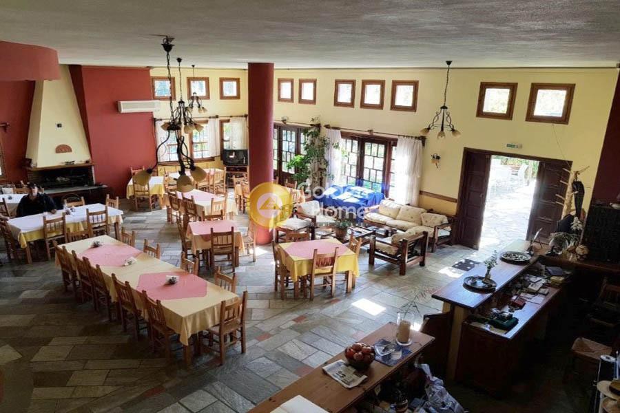 Ξενοδοχείο 1.096 τ.μ. πρός πώληση, Μαγνησία, Αφέτες