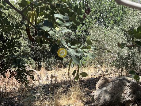 Οικόπεδο 420τ.μ. για πώληση-Άγιος νικόλαος » Ξηρόκαμπος