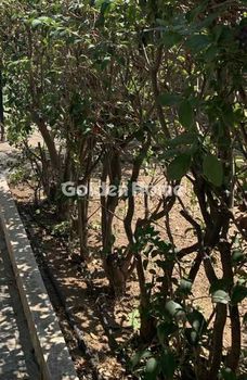 Land plot 453sqm for sale-Elliniko » Ano Sourmena