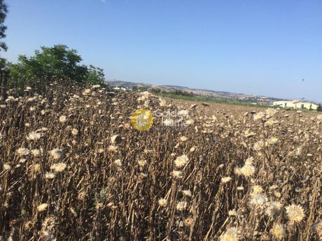 Parcel 4.450sqm for sale-Thermi » Nea Raidestos